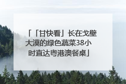 「甘快看」长在戈壁大漠的绿色蔬菜38小时直达粤港澳餐桌