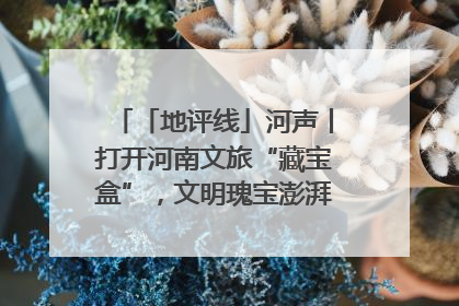 「地评线」河声丨打开河南文旅“藏宝盒”，文明瑰宝澎湃发展“豫动能”