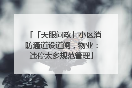 「天眼问政」小区消防通道设道闸，物业：违停太多规范管理