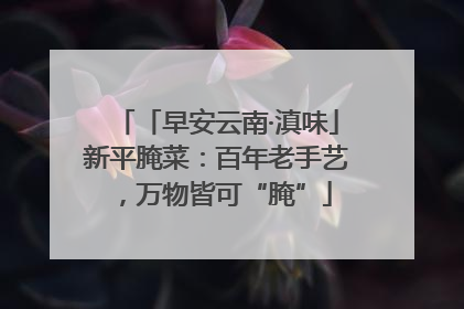 「早安云南·滇味」新平腌菜：百年老手艺，万物皆可“腌”