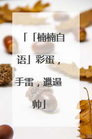 「楠楠自语」彩蛋，手雷，邋遢帅