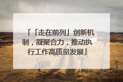 「走在前列」创新机制，凝聚合力，推动执行工作高质量发展