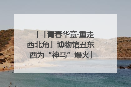 「青春华章·重走西北角」博物馆丑东西为“神马”爆火