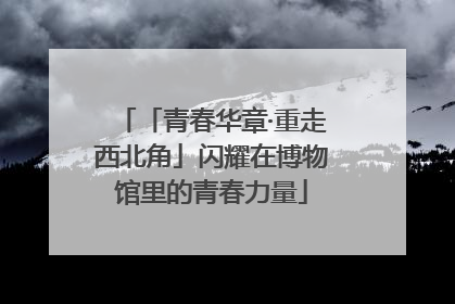 「青春华章·重走西北角」闪耀在博物馆里的青春力量