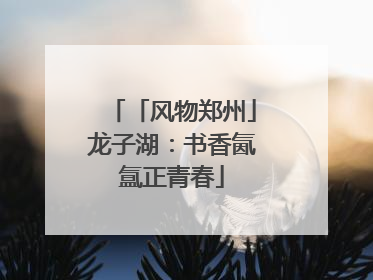 「风物郑州」龙子湖：书香氤氲正青春