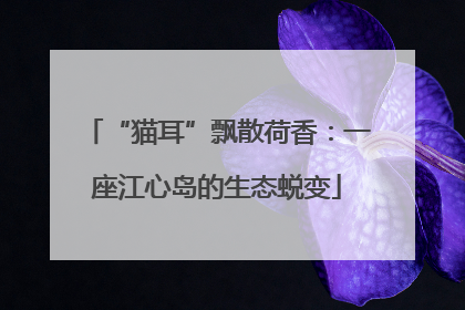 “猫耳”飘散荷香：一座江心岛的生态蜕变