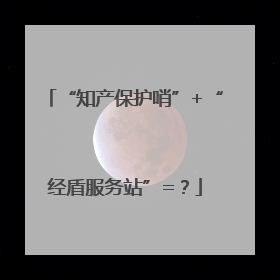 “知产保护哨”+“经盾服务站”=？