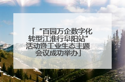 “百园万企数字化转型江淮行阜阳站”活动暨工业生态主题会议成功举办