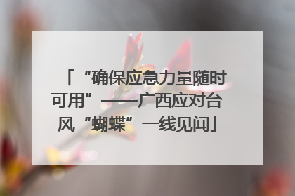 “确保应急力量随时可用”——广西应对台风“蝴蝶”一线见闻