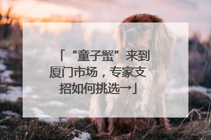 “童子蟹”来到厦门市场，专家支招如何挑选→