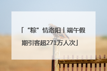 “粽”情洛阳丨端午假期引客超271万人次