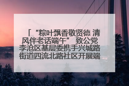 “粽叶飘香敬贤德 清风伴老话端午” 致公党李沧区基层委携手兴城路街道四流北路社区开展端午节主题活动