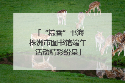 “粽香”书海 株洲市图书馆端午活动精彩纷呈