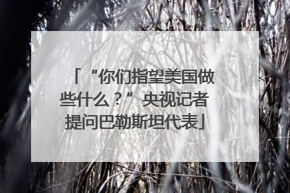 “你们指望美国做些什么？”央视记者提问巴勒斯坦代表