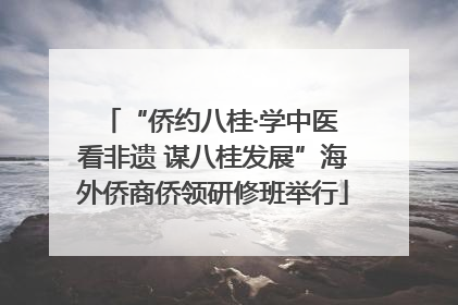 “侨约八桂·学中医 看非遗 谋八桂发展”海外侨商侨领研修班举行