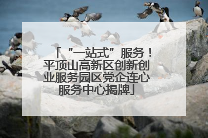 “一站式”服务！平顶山高新区创新创业服务园区党企连心服务中心揭牌
