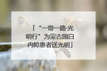 “一带一路·光明行”为蒙古国白内障患者送光明
