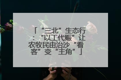 “三北”生态行：“以工代赈”让农牧民由治沙“看客”变“主角”