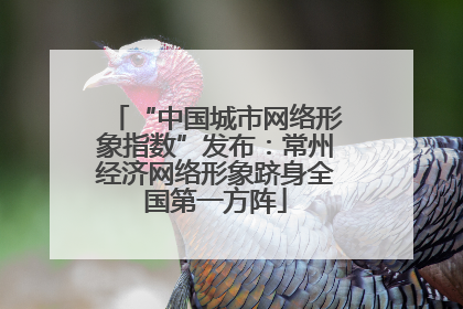 “中国城市网络形象指数”发布：常州经济网络形象跻身全国第一方阵