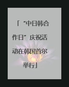 “中日韩合作日”庆祝活动在韩国首尔举行