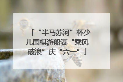 “半马苏河”杯少儿围棋游船赛“乘风破浪”庆“六一”