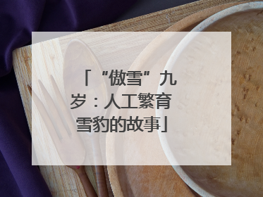 “傲雪”九岁：人工繁育雪豹的故事