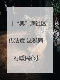“典”润社区传法意 法税同行暖民心