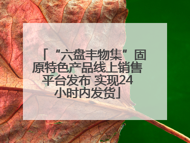“六盘丰物集”固原特色产品线上销售平台发布 实现24小时内发货