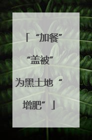 “加餐”“盖被” 为黑土地“增肥”