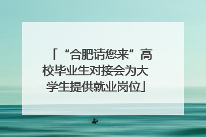 “合肥请您来”高校毕业生对接会为大学生提供就业岗位