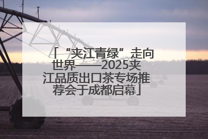 “夹江青绿”走向世界——2025夹江品质出口茶专场推荐会于成都启幕