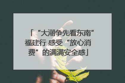 “大潮争先看东南”福建行 感受“放心消费”的满满安全感