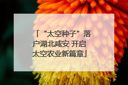 “太空种子”落户湖北咸安 开启太空农业新篇章