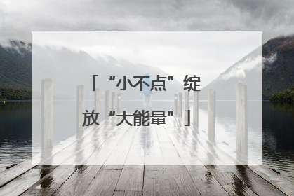 “小不点”绽放“大能量”