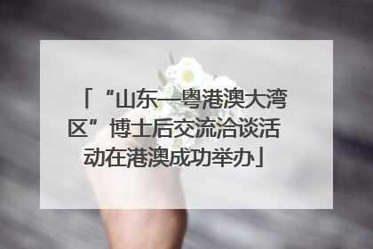 “山东—粤港澳大湾区”博士后交流洽谈活动在港澳成功举办