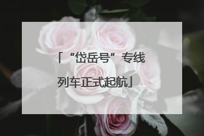 “岱岳号”专线列车正式起航