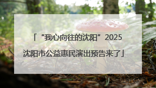 “我心向往的沈阳”2025沈阳市公益惠民演出预告来了