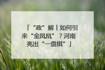 “政”解丨如何引来“金凤凰”？河南亮出“一盘棋”