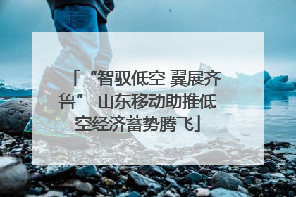 “智驭低空 翼展齐鲁” 山东移动助推低空经济蓄势腾飞