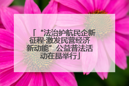 “法治护航民企新征程·激发民营经济新动能”公益普法活动在昆举行