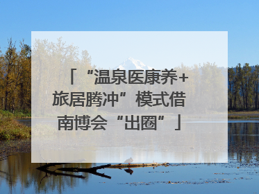 “温泉医康养+旅居腾冲”模式借南博会“出圈”