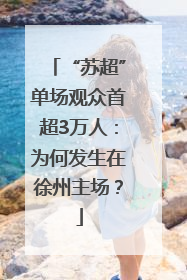 “苏超”单场观众首超3万人：为何发生在徐州主场？