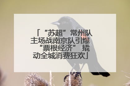 “苏超”常州队主场战南京队引爆“票根经济” 撬动全城消费狂欢