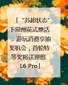 “苏超状态”下常州花式整活：游玩消费享抽奖机会，首轮特等奖将送理想 L6 Pro