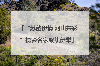 “苏韵伊情 河山共影”摄影名家聚焦伊犁
