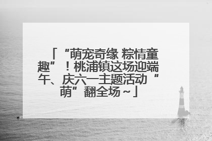 “萌宠奇缘 粽情童趣”！桃浦镇这场迎端午、庆六一主题活动“萌”翻全场～