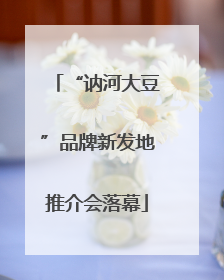 “讷河大豆”品牌新发地推介会落幕
