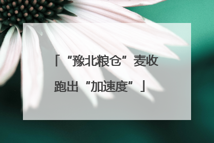 “豫北粮仓”麦收跑出“加速度”