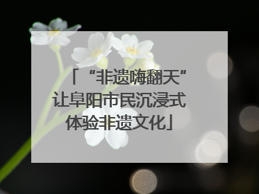 “非遗嗨翻天”让阜阳市民沉浸式体验非遗文化