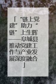 “链上党建”助力“链”上生辉——阜城县推动党建工作与产业发展深度融合
